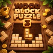 Play Wood Block Puzzle 3